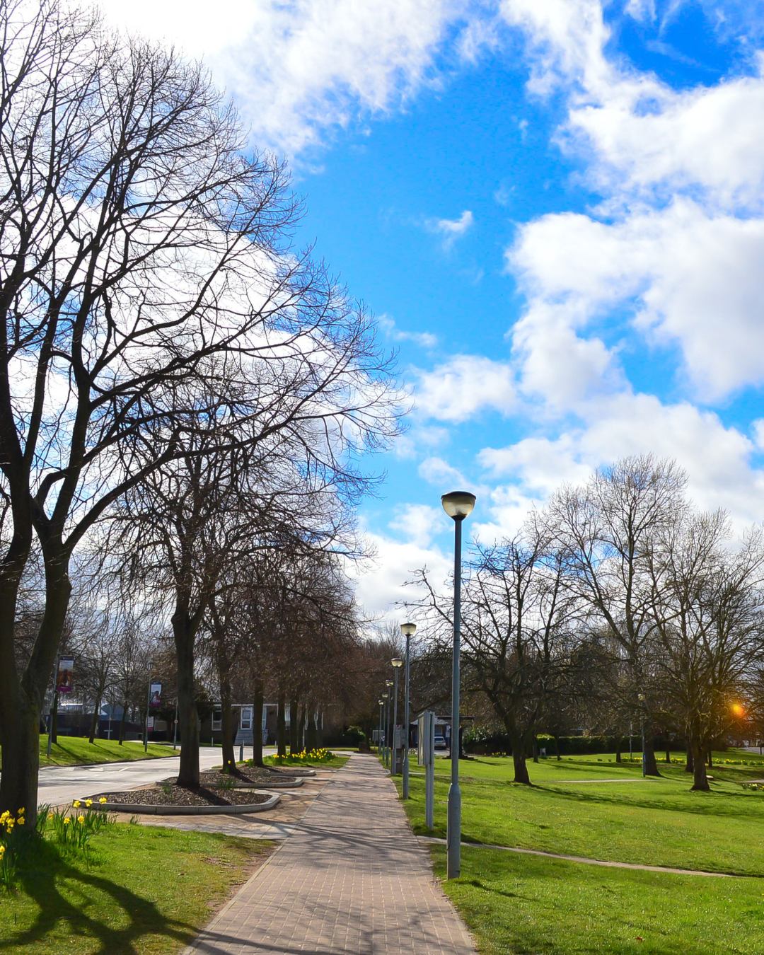 HC LP Left Image (15)